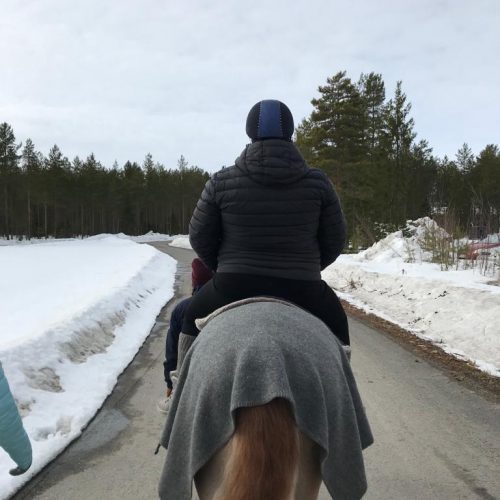 Kuva ratsastajasta takaapäin